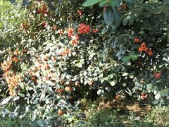 -威海华夏城景区