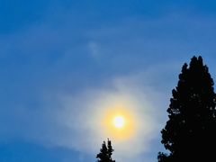 -长虫山生态公园风景林