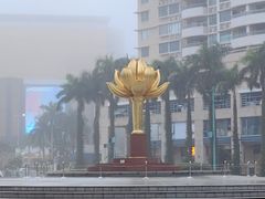 -金莲花广场