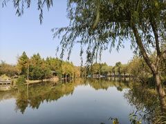 -上海长兴岛郊野公园