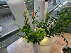 -探窝·竹笙椰子鸡(杨箕店)