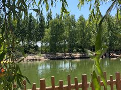 -沈阳鸟岛