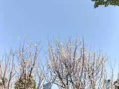 -天鹅湖体育公园