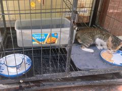 -适口餐厅砂锅粥(公信路总店)