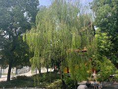 -宝通禅寺