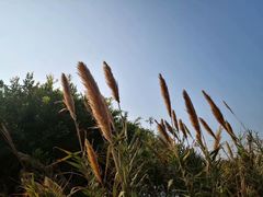 -厦门园林博览苑