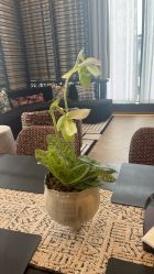 -RUMI日弥美容会所