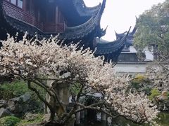 -豫园