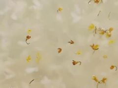 -老苏州大客堂·苏帮菜·松鼠桂鱼·苏州传统小吃(观前街人民商场店)