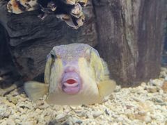 -福州罗源湾海洋世界旅游区