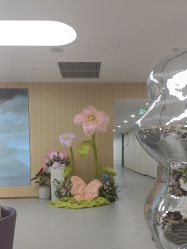 -上海伊莱美医疗美容医院