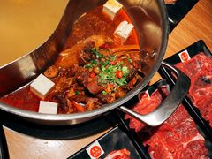 -掂档潮汕牛肉火锅(沈阳万象城店)