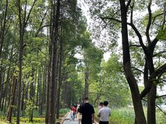 -东湖落雁景区