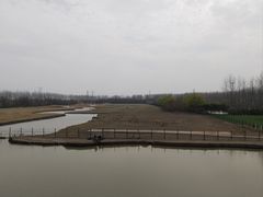 -溱湖国家湿地公园