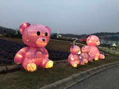 -大塘金香草谷