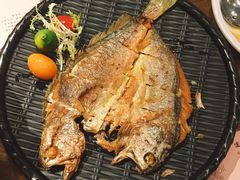 香煎黄花鱼-胡桃里音乐酒馆(白云五号T5 MALL店)