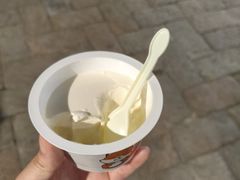 -狐狸家·酸奶酪专门店(平江路店)