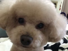 -春会馆(茂名北路店)