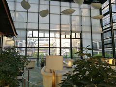 -黄山轩辕国际大酒店