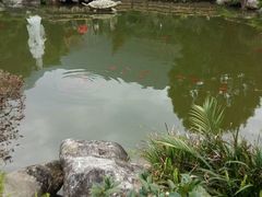 -灵光寺