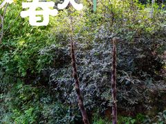 -雨花胜境