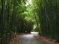 -苏州河梦清园环保主题公园