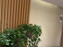 -智慧盲人按摩艾灸-颈肩腰膝疼痛调理(浦东店)