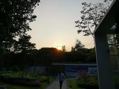 -四海公园(南山区)