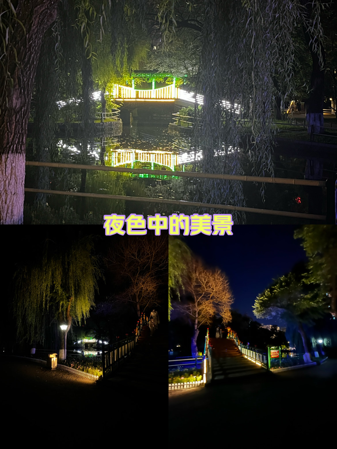 夜游公园美景句子图片