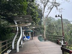 -野象谷景区