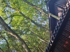 -富春桃源风景区