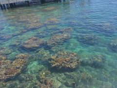 -三亚西岛海洋文化旅游区
