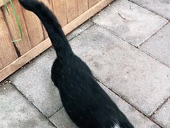 -成都市活水公园