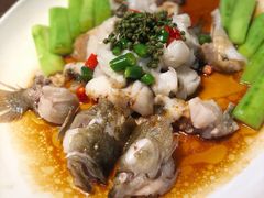 -猪肉婆私房菜(容桂总店)