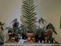-PlantsEatery·植物食堂(REX春熙店)