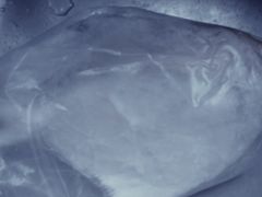 -江杨农产品批发市场