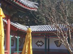 -宫事颐庭·老佛爷贵寿下午茶(颐和园店)