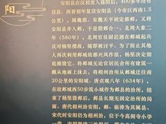-安阳博物馆