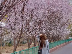 -知春路(地铁站)