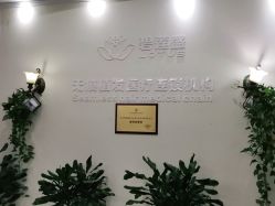 -碧莲盛·不剃发植发