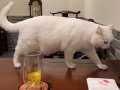 -一盃山水咖啡茶馆