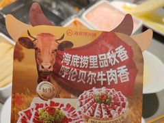 -海底捞火锅(王府井店)