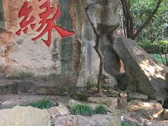 -杭州黄龙洞