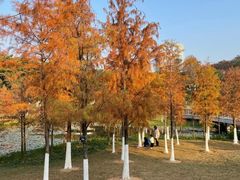 -东莞植物园