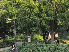 -元大都城垣遗址公园