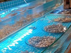 -上海神旺大酒店