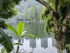 -重庆彩云湖湿地公园