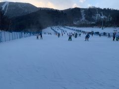 -亚布力新体委滑雪场