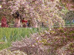 -莲花池公园