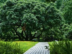 -荔香公园